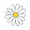 Coleción Colecciones - Margarita