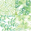Coleción Juveniles - Natural green