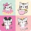 Coleción ANIMALITOS - Fashion Cats