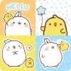 Coleción KAWAII - Pollito